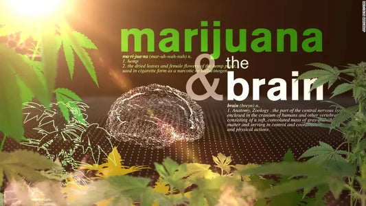 "Breaking the Chains: The Power of Cannabis in Mental Health Healing" - RealBud Camo