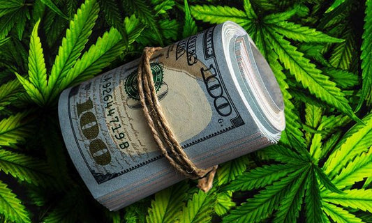 The Cannabis Boom: Exploring the Phenomenal Tax Returns in Newly Legalized States