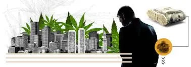 "Cannabis Industry: The Looming Shadow of the Big 3 and the Importance of Staying Ahead" - RealBud Camo