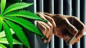 "The Green Dilemma: Arrests for Minor Cannabis Offenses Persist in the Era of Legalization"