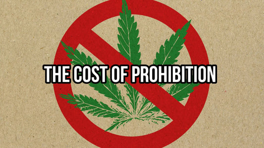 Unveiling the Truth: Harry Anslinger and the Dark Era of Cannabis Prohibition - RealBud Camo